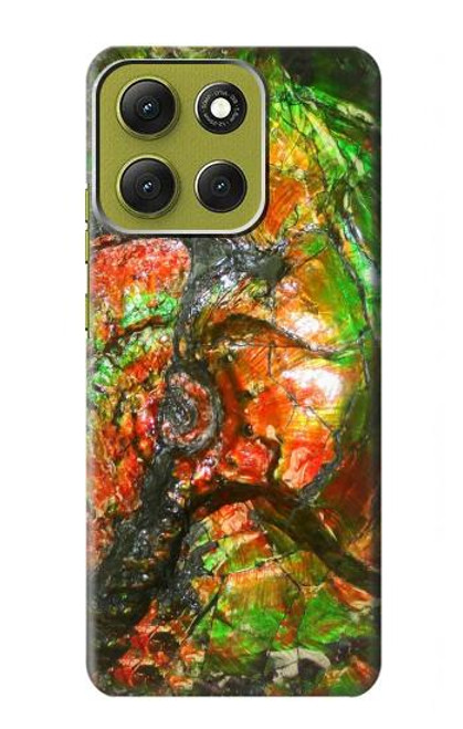 S2694 Ammonite Fossil Case For Motorola Moto G86