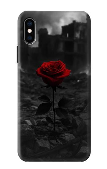 S4048 Red Rose Ruins Case For iPhone X, iPhone XS