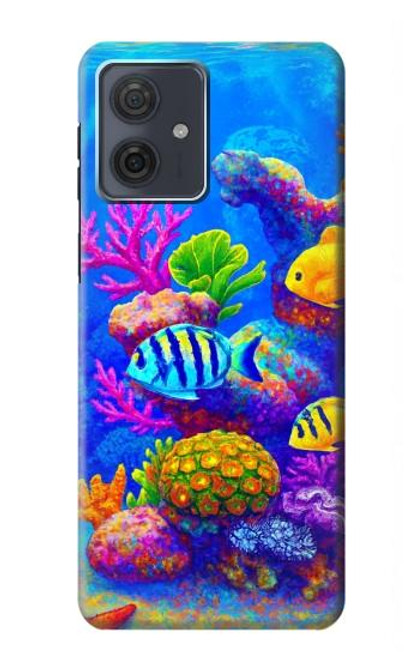 S4058 Colorful Aquarium Case For Motorola Moto G54