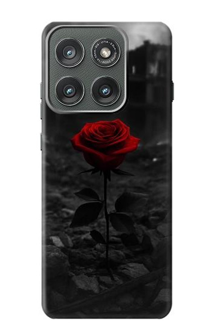 S4048 Red Rose Ruins Case For Motorola Edge (2025)