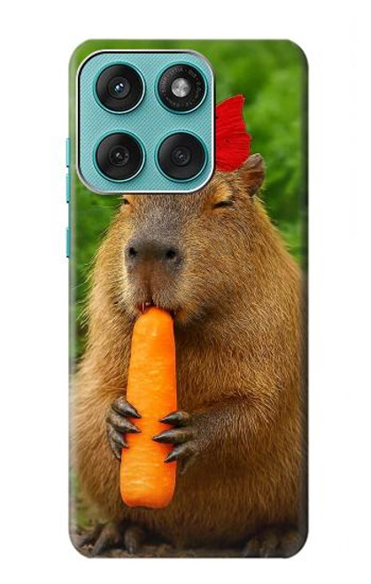 S4068 Capybara Butterfly Case For Motorola Edge 60 Fusion