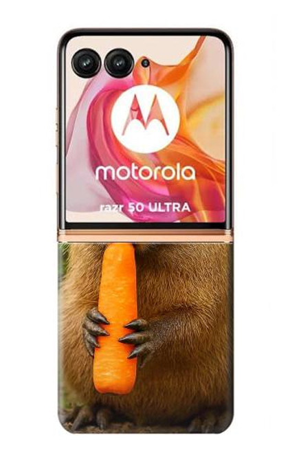 S4068 Capybara Butterfly Case For Motorola razr+ 2024, Motorola Razr 50 Ultra