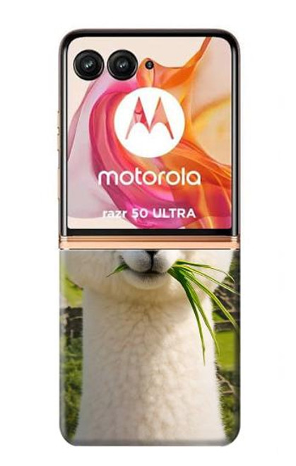 S4069 Alpaca Sunglasses Case For Motorola razr+ 2024, Motorola Razr 50 Ultra