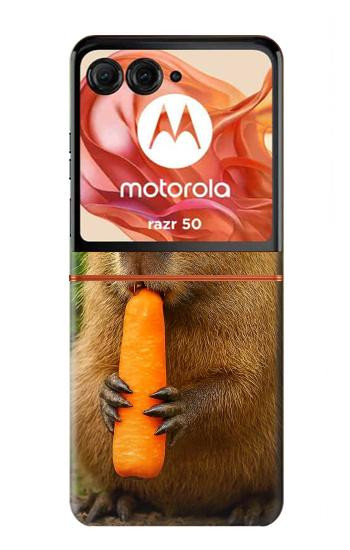 S4068 Capybara Butterfly Case For Motorola razr 2024, Motorola Razr 70,60,50, Razr (2026, 2025, 2024)
