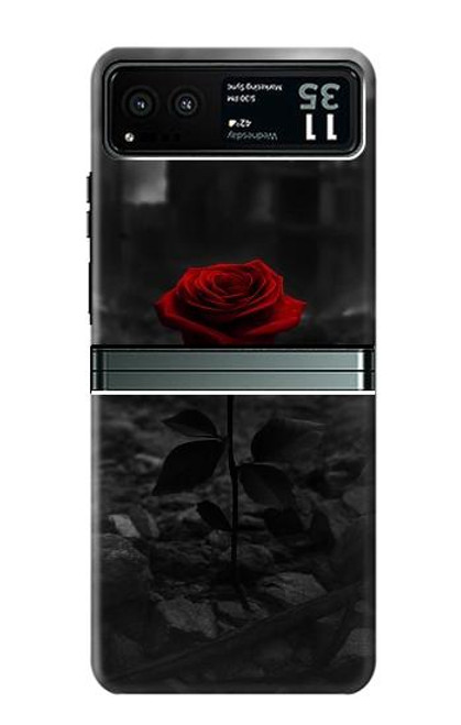 S4048 Red Rose Ruins Case For Motorola Razr 40
