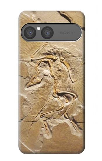 S0380 Dinosaur Fossil Case For Sony Xperia 10 VII, 10 VIII