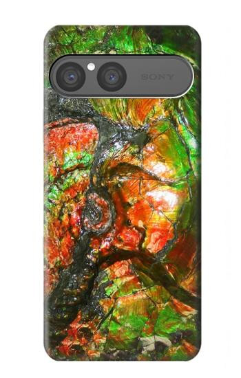 S2694 Ammonite Fossil Case For Sony Xperia 10 VII, 10 VIII