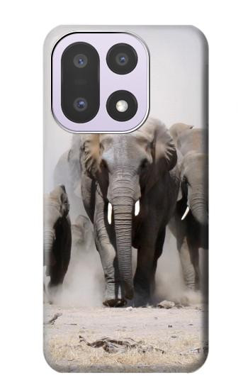 S3142 African Elephant Case For OnePlus 15