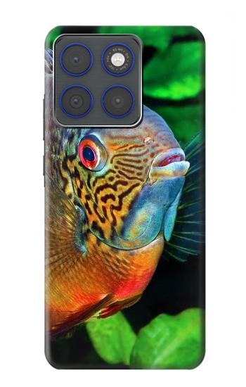 S1812 Cichlid Fish Case For Motorola Edge 70