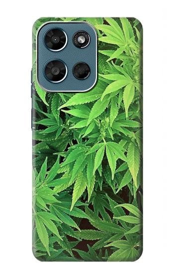 S1656 Marijuana Plant Case For Motorola Moto G (2026), G Play (2026)