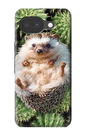 S3863 Pygmy Hedgehog Dwarf Hedgehog Paint Case For Google Pixel 10a