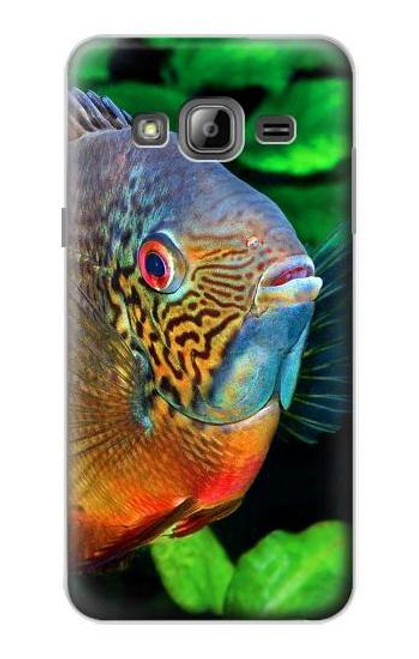 S1812 Cichlid Fish Case For Samsung Galaxy J3 (2016)