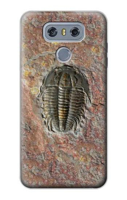 S1454 Trilobite Fossil Case For LG G6