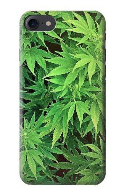 S1656 Marijuana Plant Case For iPhone 7, iPhone 8
