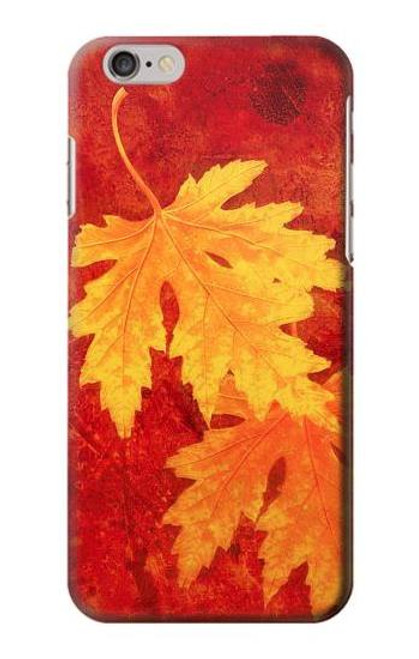 S0479 Maple Leaf Case For iPhone 6 6S