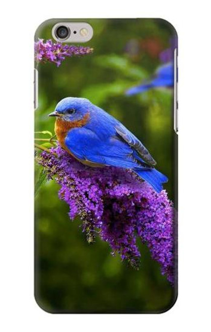 S1565 Bluebird of Happiness Blue Bird Case For iPhone 6 6S