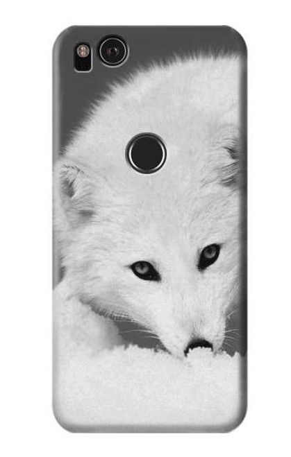 S2569 White Arctic Fox Case For Google Pixel 2