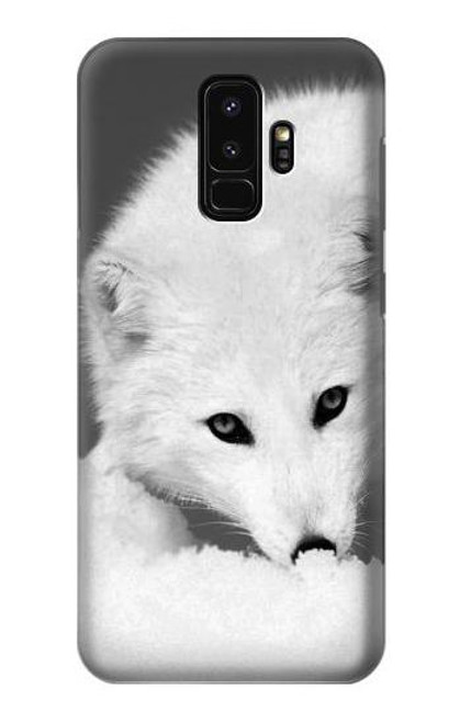 S2569 White Arctic Fox Case For Samsung Galaxy S9 Plus