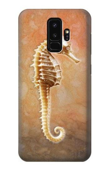 S2674 Seahorse Skeleton Fossil Case For Samsung Galaxy S9 Plus