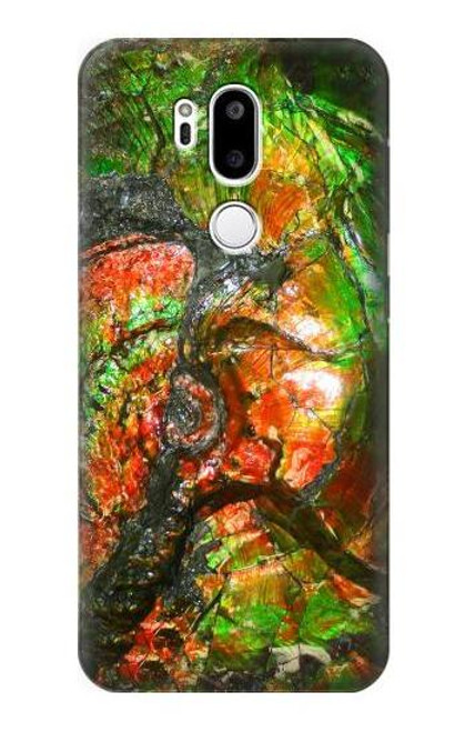 S2694 Ammonite Fossil Case For LG G7 ThinQ