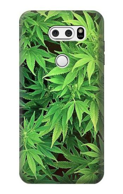 S1656 Marijuana Plant Case For LG V30, LG V30 Plus, LG V30S ThinQ, LG V35, LG V35 ThinQ