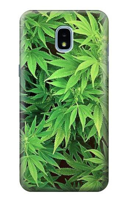 S1656 Marijuana Plant Case For Samsung Galaxy J3 (2018), J3 Star, J3 V 3rd Gen, J3 Orbit, J3 Achieve, Express Prime 3, Amp Prime 3
