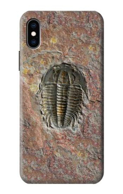 S1454 Trilobite Fossil Case For iPhone X, iPhone XS