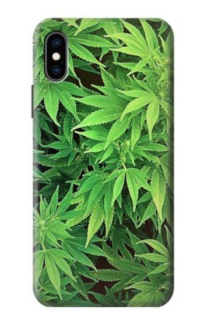 S1656 Marijuana Plant Case For iPhone X, iPhone XS