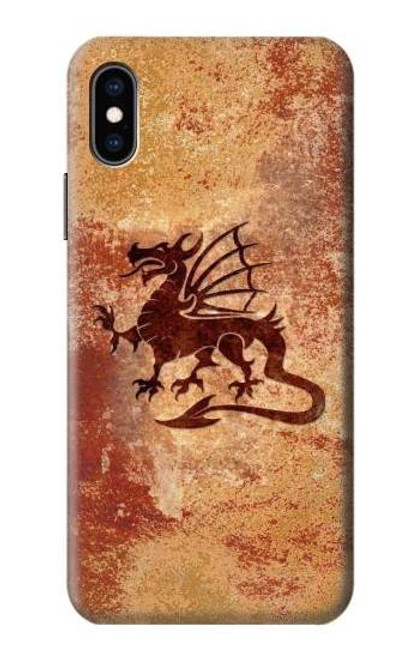 S2485 Dragon Metal Texture Graphic Printed Case For iPhone X, iPhone XS