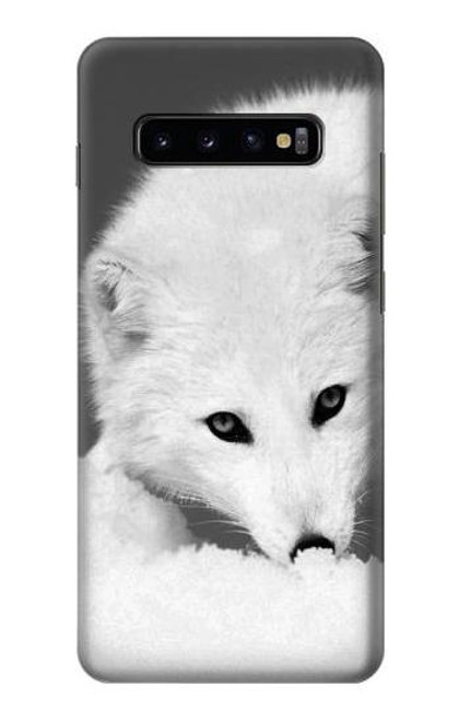 S2569 White Arctic Fox Case For Samsung Galaxy S10 Plus