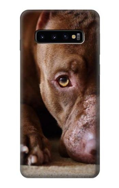 S0519 PitBull Face Case For Samsung Galaxy S10 S0519 PitBull Face Case For Samsung Galaxy S10
