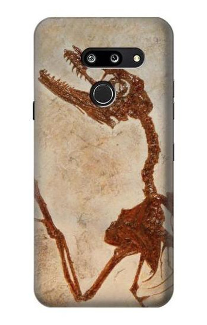 S0379 Dinosaur Fossil Case For LG G8 ThinQ
