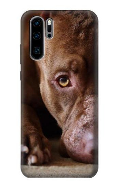 S0519 PitBull Face Case For Huawei P30 Pro