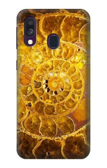 S1789 Ammonite Fossils Case For Samsung Galaxy A40