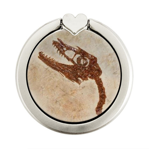 S0379 Dinosaur Fossil Graphic Ring Holder and Pop Up Grip