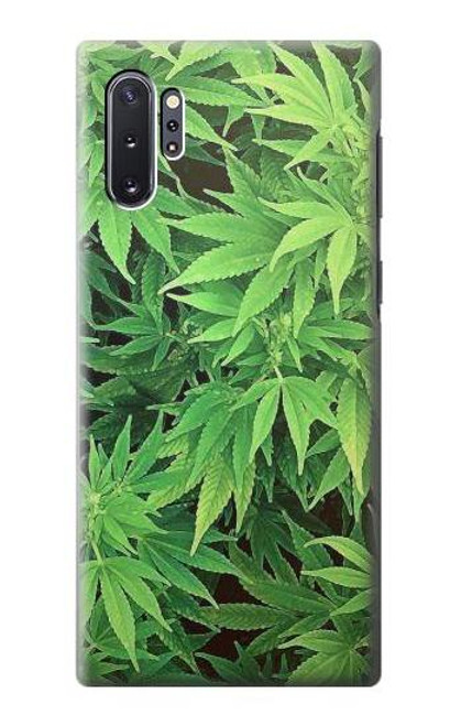 S1656 Marijuana Plant Case For Samsung Galaxy Note 10 Plus