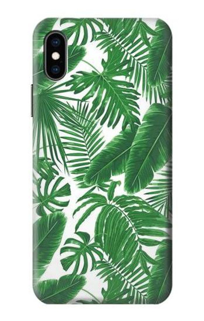 S3457 Paper Palm Monstera Case For iPhone X, iPhone XS