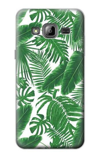 S3457 Paper Palm Monstera Case For Samsung Galaxy J3 (2016) S3457 Paper Palm Monstera Case For Samsung Galaxy J3 (2016)