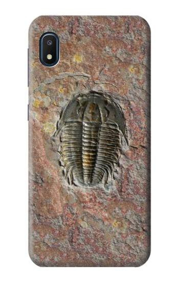 S1454 Trilobite Fossil Case For Samsung Galaxy A10e