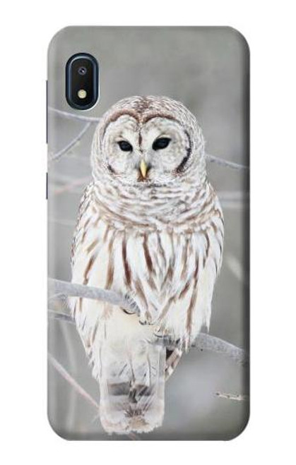 S1566 Snowy Owl White Owl Case For Samsung Galaxy A10e
