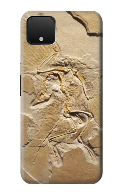 S0380 Dinosaur Fossil Case For Google Pixel 4