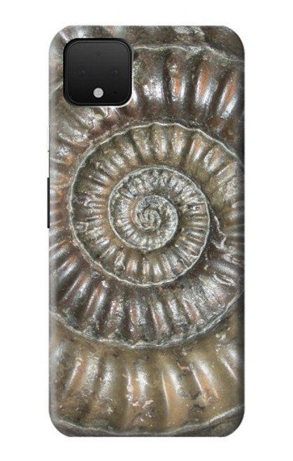 S1788 Ammonite Fossil Case For Google Pixel 4