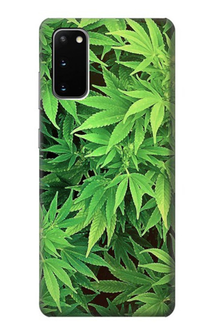 S1656 Marijuana Plant Case For Samsung Galaxy S20