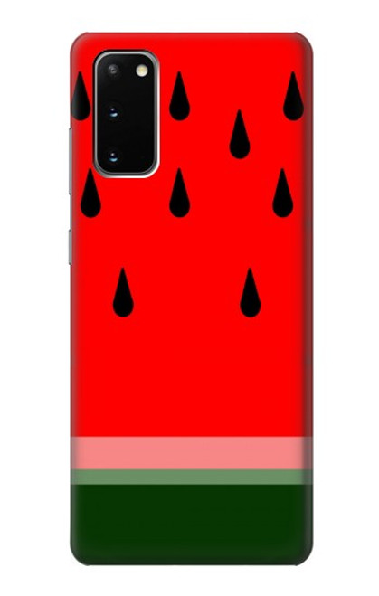 S2403 Watermelon Case For Samsung Galaxy S20