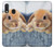 S0242 Cute Rabbit Case For Samsung Galaxy A20e