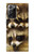 S0977 Baby Raccoons Case For Samsung Galaxy Note 20 Ultra, Ultra 5G S0977 Baby Raccoons Case For Samsung Galaxy Note 20 Ultra, Ultra 5G