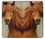 S1595 Beautiful Brown Horse Case Cover For IPHONE 5 5s SE