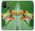 S1047 Little Frog Case For OnePlus Nord N10 5G