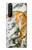 S2750 Oriental Chinese Tiger Painting Case For Sony Xperia 1 III