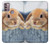 S0242 Cute Rabbit Case For Motorola Moto G30, G20, G10